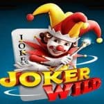 Seru dan Mengasyikkan Main Joker Wild dari PG Soft!